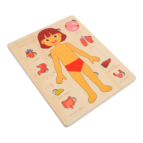 iplusmile 1 Set Menschliche Körperteile, Puzzle Für Kleinkinder, Hölzernes Anatomiemodell, Vorschul-lernspielzeug Mit Körperorganen, Kognitives Puzzle, Englisch (mädchen) von iplusmile