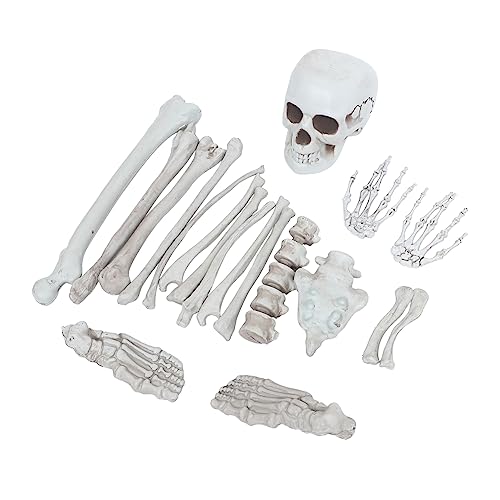 iplusmile 1 Set Simuliertes Skelett Menschliche Knochen Skelettknochen Spukhaus Skelett Dekor Gruselszene Requisiten Halloween Streich Requisiten Spukhaus Requisiten Friedhof Menschliche von iplusmile