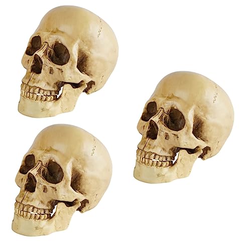 iplusmile 3st Schädelmodell Herzstück Der Halloween-party Verängstigter Halloween-schädel Anatomisches Modell Des Menschlichen Schädels Kopfknochenmodell Halloween-tischdekoration Harz von iplusmile