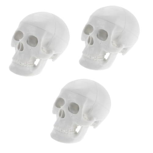 iplusmile 3st Schädelmodell Realistischer Menschlicher Schädel Schädelfiguren Schädel Medizinisches Modell Kopfknochenmodell Anatomischer Kopfknochen Halloween-schädeldekoration Weiß Pvc von iplusmile