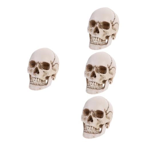 iplusmile 4 Stück menschliches Schädelmodell Schädelköpfe Halloween simulierter Schädel Skelettköpfe Halloween Requisiten menschlicher Schädel für Künstler Halloween-Dekor Mannequin Weiß von iplusmile