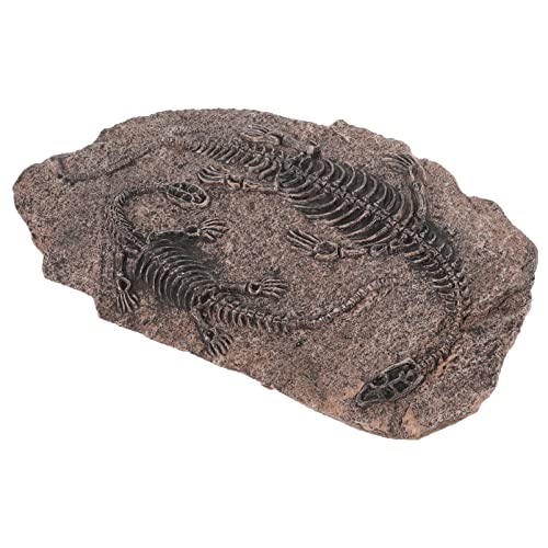 iplusmile Dinosaurier- Zum Aufhängen An Der Wand Echtes Dinosaurierskelett Pädagogisches Geschenk Fossilien-Modell -Statue Dino-Knochen Tier Harz Schädel iplusmile Dinosaurier- Zum Aufhängen An Der Wand Echtes Dinosaurierskelett Pädagogisches Geschenk Fossilien-Modell -Statue Dino-Knochen Tier Harz Schädel von iplusmile
