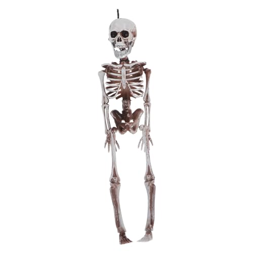 iplusmile Skelett Mann Modell Vampirzähne Kostüm Skelett Hund Ecke Spinnennetz Menschliches Skelett Halloween-requisiten Halloween-skelettknochen Halloween-skeletthände Plastik Weiß von iplusmile