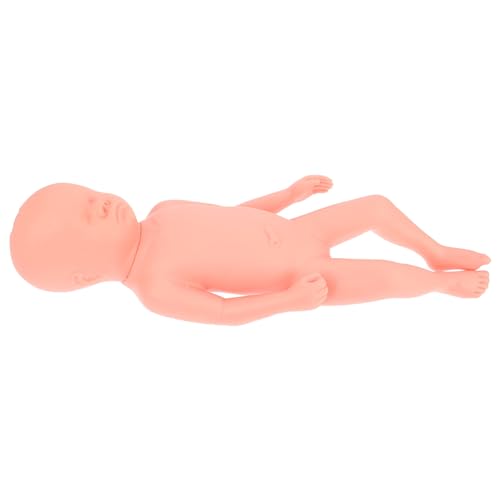 iplusmile fetales Modell PVC-Embryo-Modell Ausbildungshilfe voll ausgetragener Fötus Bildungsbedarf Arbeitsmodell Schwangerschaftsmodell PVC-Fötusmodell Fötusmodell aus Kunststoff Rosa von iplusmile