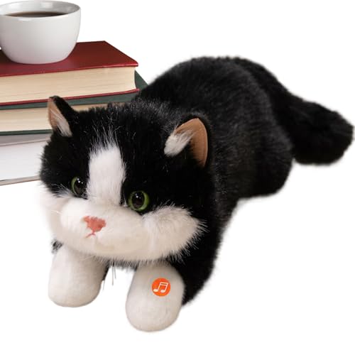 jamgeery Süße Katze Plüsch - Realistische Katze Plüschtiere Kuscheltiere - Deko Mit Sound Für Schlafzimmer Wohnzimmer Weihnachten Geburtstag Klassenpreis Mädchen Kinder jamgeery Süße Katze Plüsch - Realistische Katze Plüschtiere Kuscheltiere - Deko Mit Sound Für Schlafzimmer Wohnzimmer Weihnachten Geburtstag Klassenpreis Mädchen Kinder von jamgeery