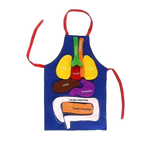 jebyltd Anatomie Organ Schürze Mit 3D Modell Menschlicher Körperorgane Für Kinder Entwicklungspuzzle Lernhilfen Wissenschafts Kits Pädagogische Schürze Für Kinder von jebyltd