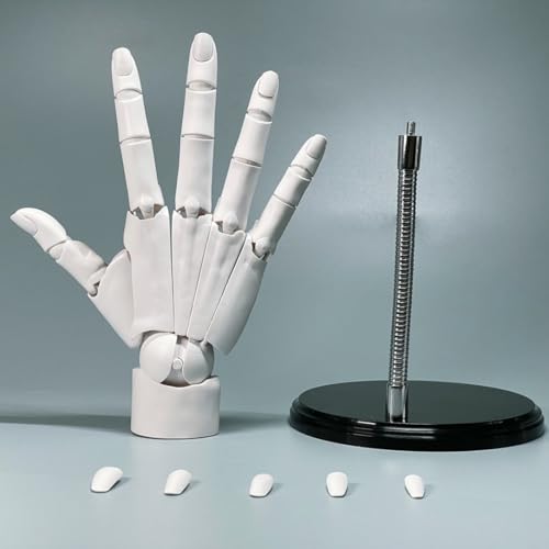 jinzha 1:1 Flexibles Handmodell, Handmodell Flexible bewegliche Fingerschaufensterpuppe Linkshändermodell zum Malen, Skizzieren, Malen, Weiß(White right Hand) von jinzha