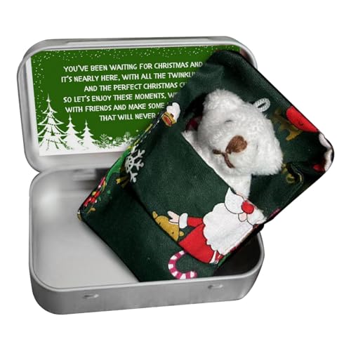 komsoup Taschenbär Kleines Stofftier | Weihnachten Bär in Box Stofftier Bär,Niedlicher und weicher Stoffbär, Bärenpuppen, Taschenbärenspielzeug als Weihnachtsgeburtstagsgeschenk von komsoup