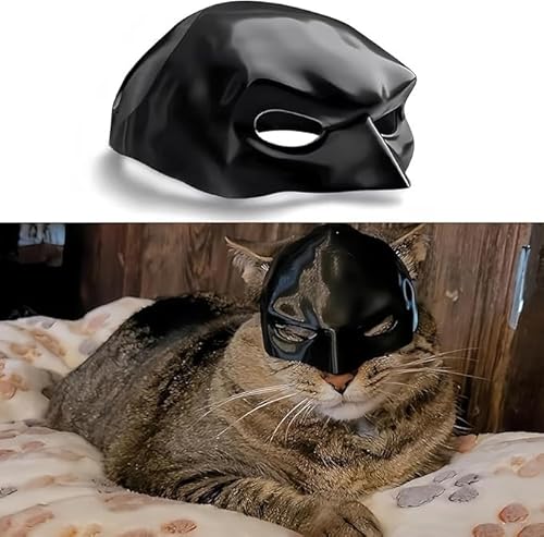 korsaot Katzenmaske, Lustige Batman Maske für Katzen, Katzenbekleidung für Halloween Oder den täglichen Spaß, Groß Haustierkleidung für Die Tägliche Unterhaltung (Schwarz) von korsaot