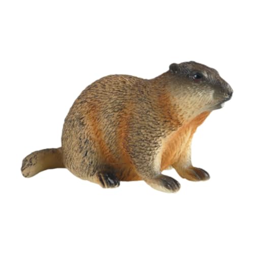 kowaku Groundhog Action Figur Frühes kognitives Spielzeug für Bildungswildtiere für Geschenke, Hocken von kowaku