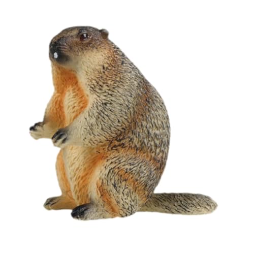 kowaku Groundhog Action Figur Frühes kognitives Spielzeug für Bildungswildtiere für Geschenke, Stehen von kowaku