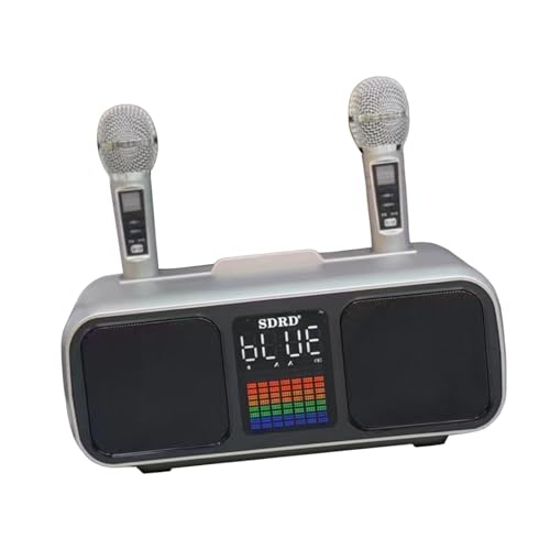 kowaku Karaoke-Maschine, schnurloses Mikrofon, leistungsstarkes Karaoke-Geschenk, tragbarer Karaoke-Lautsprecher, tragbares Karaoke-System für die Familie im, Grau von kowaku