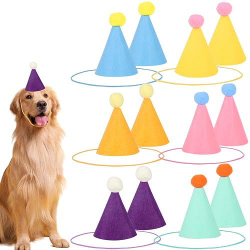 lasuroa 12 Stück Mini Partyhüte für Stofftiere, Kegelförmige Kleine Geburtstagshüte in Mehrfarben Winzige Geburtstagsdekoration für Hunde Katzen und Verschiedene Tieraccessoires lasuroa 12 Stück Mini Partyhüte für Stofftiere, Kegelförmige Kleine Geburtstagshüte in Mehrfarben Winzige Geburtstagsdekoration für Hunde Katzen und Verschiedene Tieraccessoires von lasuroa