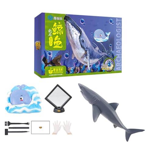 laxreheye Fisch-Ausgrabungs-Set, Fisch-Wissenschafts-Set - Grabset für - Lern- und Bildungsspielzeug, Fish Life Dig Kit, pädagogisches Wissenschaftsabenteuer für Mädchen, Kinder, Jugendliche von laxreheye