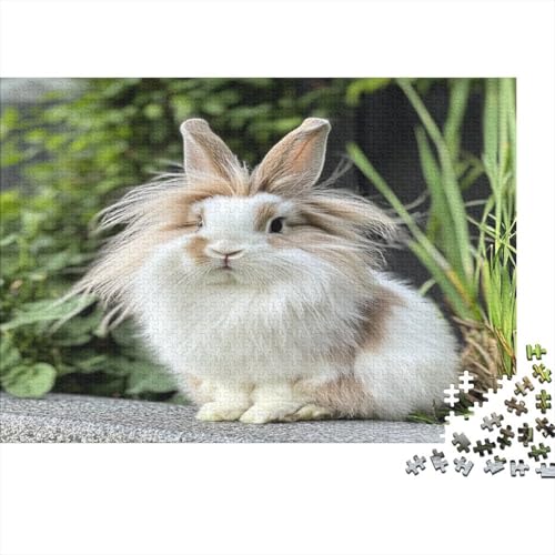 Angora Kaninchen Puzzle 1000 Teile Holzpuzzle Erwachsene Anspruchsvoll Puzzle Häschen Langlebig Spielzeug Entspannend Einzigartiges Geschenk 1000pcs (75x50cm) von lihuogongsio