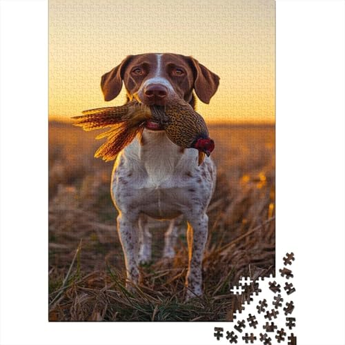 Deutsch Kurzhaar Vorstehhund 500 Stück Puzzles Hund Geschicklichkeitsspiel Für Die Ganze Familie DIY Kreative Unterhaltung Schöne Geschenkidee Premium Quality 500pcs (52x38cm) von lihuogongsio