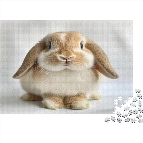 Holland Lop Kaninchen Puzzle Erwachsene 1000 Teile Puzzle Häschen Holzpuzzle Erwachsener Hochwertig Für Die Ganze Familie Unmögliches DIY Kreative Moderne Wohnkultur 1000pcs (75x50cm) von lihuogongsio