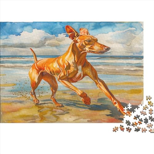 Hund Puzzle 1000 Teile Puzzle Für Erwachsene Italienischer Windhund Brain Challenge Geschicklichkeitsspiel Stress Abbauen Familien Herausforderndes Schöne Geschenkidee 1000pcs (75x50cm) von lihuogongsio