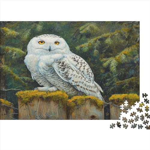 White Eule Puzzle 1000 Puzzle Schnee-Eule Erwachsene Impossible Puzzle Geschicklichkeitsspiel Für Die Ganze Familie Puzzle Erwachsene Premium Quality Farbig Spaß 1000pcs (75x50cm) von lihuogongsio