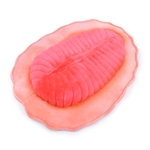 lilizzhoumax Dickinsonia plüschtier 30cm/12Zoll Simuliertes Tier Kawaii Realistische Uraltes Meeresleben Kuscheltier Spielzeug für Wilde Tiere Geschenk für Kinder pelziges Stofftier - Rosa von lilizzhoumax