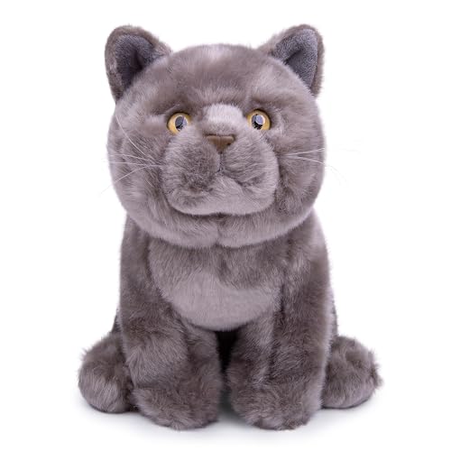 lilizzhoumax Graukurzhaarkatze Plüschtier 28cm/11”, Simuliertes Tier Katze Plüschtier Kawaii Katze Kuscheltier Realistische Plüsch Spielzeug für Wilde Tiere, Geschenk für Freunde und Kinder von lilizzhoumax