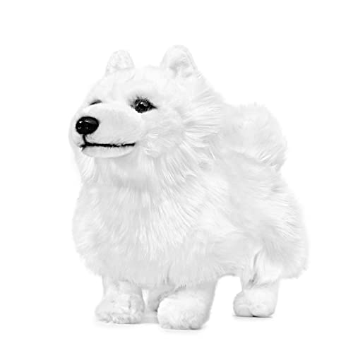 lilizzhoumax Hund Samojede Plüschtier 32cm/12”, Simuliertes Tier Hund Plüschtier Kawaii Hund Kuscheltier Realistische Hund Plüsch Spielzeug für Wilde Tiere, Geschenk für Freunde und Kinder von lilizzhoumax