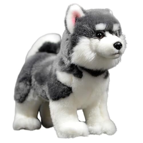 lilizzhoumax Husky Hund plüschtier 30cm/12”, Simuliertes Tier Hund Plüschtier, Kawaii Hund Kuscheltier Stofftiere Realistische Hund Plüsch Spielzeug für Wilde Tiere, Geschenk für Freunde und Kinder von lilizzhoumax