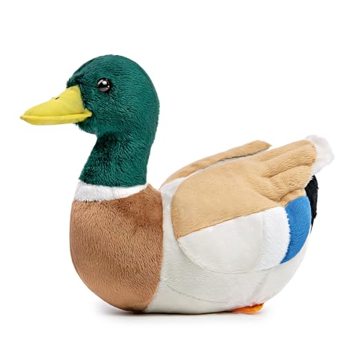 lilizzhoumax Plüschtier Grün Ente 31cm/12” Simuliertes Tier Kawaii Plüschtier Grün Ente Realistische Plüschtier Grün Ente Spielzeug für Wilde Tiere Geschenk für Freunde und Kinder pelziges von lilizzhoumax