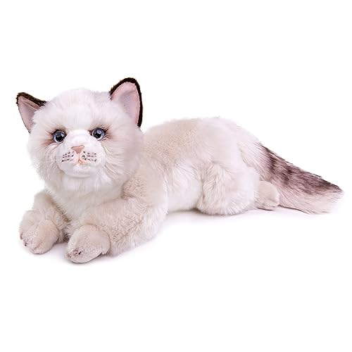 lilizzhoumax Ragdoll-Katze Stofftier Plüschtier realistisches Ragdoll-Katze Plüsch schönes Tier niedliche und weiche Geschenke Katze für Kinder Jungen und Mädchen Spielzeug Katze Plüsch 20” Weiß von lilizzhoumax