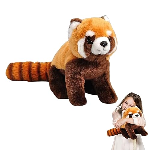 lilizzhoumax Roter Panda Plüschtier 28cm/11”, Simuliertes Tier Roter Panda Plüschtier, Kawaii Roter Panda, Realistische Roter Panda Plüschspie Spielzeug für Wilde Tiere, Geschenk für Kinder von lilizzhoumax