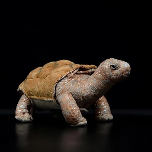 lilizzhoumax Schildkröte Plüschtier 26cm/10”, Simuliertes Tier Kawaii Schildkröte Plüschtier, Realistische Schildkröte-Plüsch Spielzeug für Wilde Tiere, Geschenk für Freunde und Kinder von lilizzhoumax