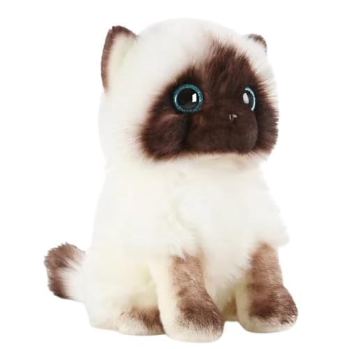 lilizzhoumax Siamesische Katze Plüschtier 23cm/9”, Simuliertes Tier Katze Plüschtier Kawaii Katze Kuscheltier Realistische Plüsch Spielzeug für Wilde Tiere, Geschenk für Freunde und Kinder von lilizzhoumax