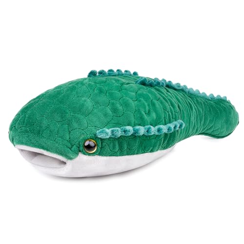 lilizzhoumax Sternschildkröte plüschtier 26cm/10”, Simuliertes Tier Kawaii Sternschildkröte Plüsch Realistische Spielzeug für Wilde Tiere Geschenk für Freunde Kinder pelziges Stofftier von lilizzhoumax