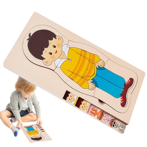 Menschliche Anatomie für Kinder, Puzzle zum menschlichen Körper - Mehrschichtiges kognitives Puzzlespielzeug aus Holz für den menschlichen Körper | Interaktives pädagogisches von lovemetoo