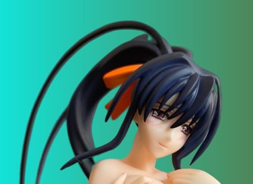 lqkkkgmc Ecchi-Figuren/Hentai-Figur/Actionfigur/Sammelfigur zur Heimdekoration/Anime-Figur Mädchen/Sammelpuppe als Geschenk, abnehmbare Kleidung, 13 cm. von lqkkkgmc