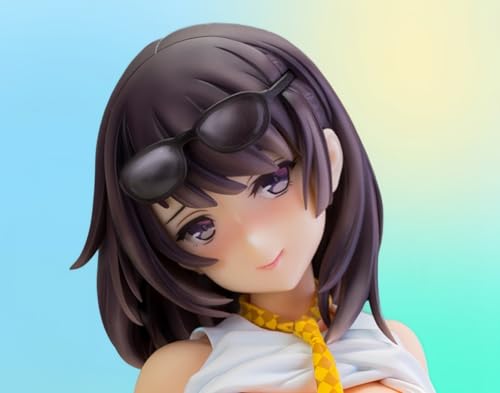 lqkkkgmc Toshiue Kanojo – 1/6 Ecchi-Figuren/Hentai-Figur/Actionfigur/Heimdekor-Sammelfigur/Anime-Figur Mädchen/Sammelpuppe als Geschenk, abnehmbare Kleidung, 27 cm. von lqkkkgmc