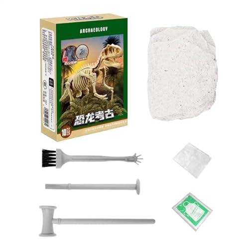 Dino-Grabset für Kinder | Realistisches Dinosaurier-Fossil-Ausgrabungsspielzeug | Zusammenbaubare -Skelett-Puzzlemodelle | Präsentationsfertiges Dino-Fossilien-Set | Vielseitiges Grabspielzeug für K von lwxij