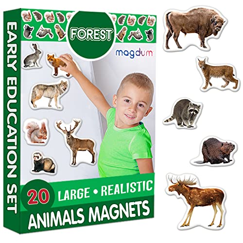 Magdum 20 Waldtiere Foto Magnete Kinder für magnettafel - Magnet Spielzeug Kinder - Kühlschrankmagnete Kinder - Kühlschrank Magnete Set Kinder -Spielzeug ab 3 Jahre - Lernspiele ab 3 Jahre von magdum