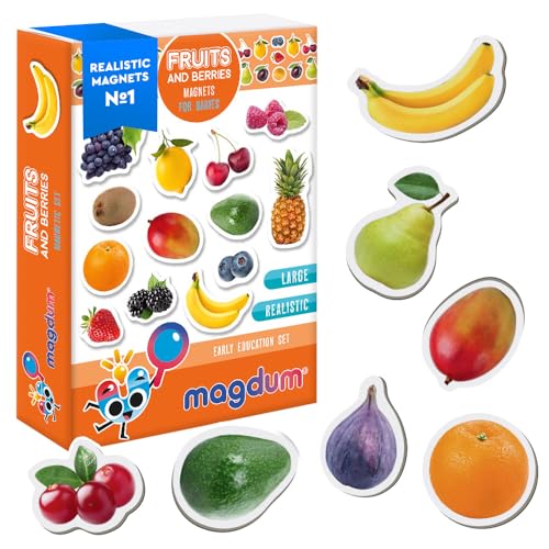 Magdum 25 Obst&BEEREN Foto Magnete Kinder für magnettafel - Magnet Spielzeug Kinder - Kühlschrankmagnete Kinder - Kühlschrank Magnete Set Kinder -Spielzeug ab 3 Jahre - Lernspiele ab 3 Jahre von magdum