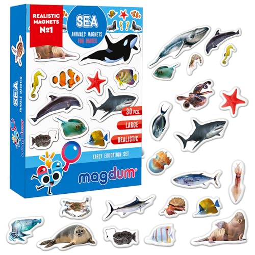 Magdum 30 MEERESTIERE Figuren Foto Magnete Kinder für magnettafel - Magnet Spielzeug Kinder - Kühlschrankmagnete Kinder - Kühlschrank Magnete Set Kinder -Spielzeug ab 3 Jahre - Lernspiele ab 3 Jahre von magdum