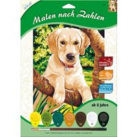 MAMMUT 105010 Malen nach Zahlen Junger Labrador (Hund), Komplettset ab 8 Jahre von mammut