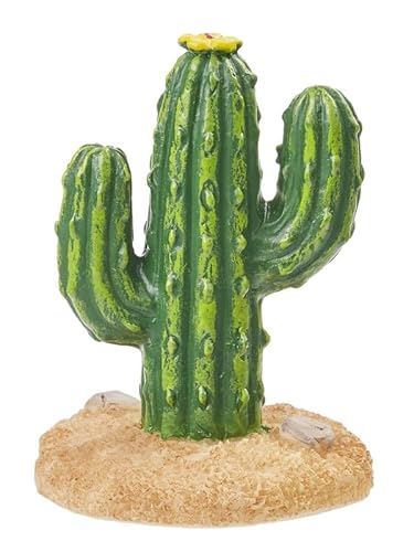 Miniaturen für Puppenhäuser und Wichtelstuben oder Geschenkgutscheine · DIY Miniwelt · Kaktus 4 cm von miamiXa
