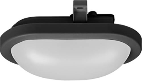 Mlight 81-4183 LED-Deckenleuchte 12W Schwarz von mlight