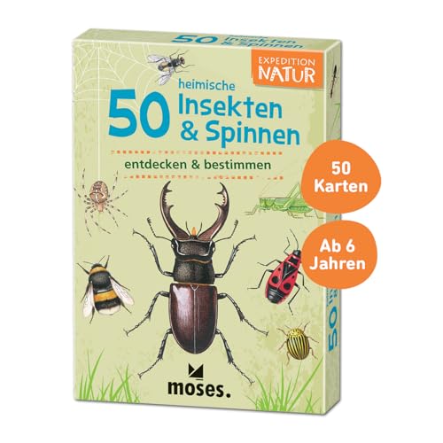 Moses 9723 Expedition Natur - 50 heimische Insekten und Spinnen| Bestimmungskarten im Set | Mit spannenden Quizfragen, Yellow von moses