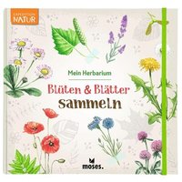 MOSES. VERLAG 51924 Blüten & Blätter sammeln von moses