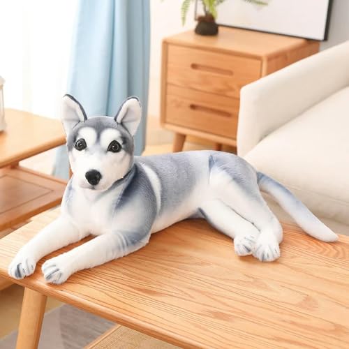 mzDxLy Hund Plüsch lebensechte Husky Welpe Puppe Kinder Plüsch Spielzeug Junge Geburtstagsgeschenk Home Decoration 30cm 2 von mzDxLy