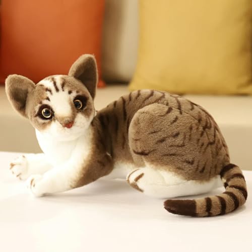 mzDxLy Neue lebensechte Siamkatze Plüschtier Katze Niedliche Plüsch Katze Puppe Kinder Haustier Spielzeug Home Decor Geschenk Geburtstagsgeschenk 35cm 3 von mzDxLy