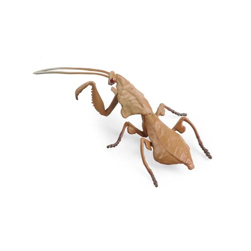 ohodhmnu Moskitos Orchidsmantis Figuren Simulation Insektenmodell von ohodhmnu