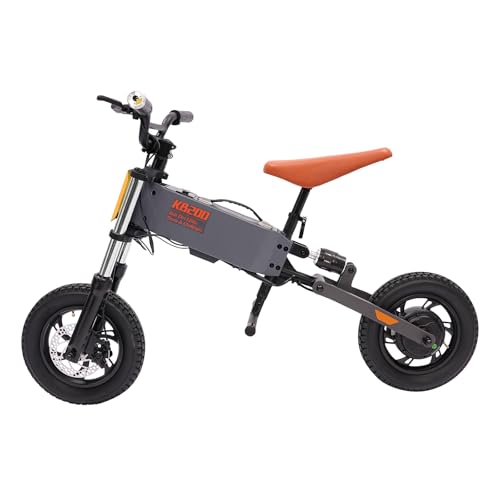 Kinder Balance Fahrrad Elektro Motorrad mit Lithium Batterie für Jungen und Mädchen ab 8 Jahren für Straßen und Parks 200W Motor Fahrdistanz Schockabsorption einfache Montage (Grau) von panfudongk