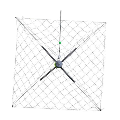perfk Krabbennetz, Stabiler Korb, automatisches Öffnen und Schließen, Krabbenwerkzeug, strapazierfähig, für Langusten, Krebse, Garnelen, Angelzubehör, Große Maschen, Ausgeklappt 50cm perfk Krabbennetz, Stabiler Korb, automatisches Öffnen und Schließen, Krabbenwerkzeug, strapazierfähig, für Langusten, Krebse, Garnelen, Angelzubehör, Große Maschen, Ausgeklappt 50cm von perfk